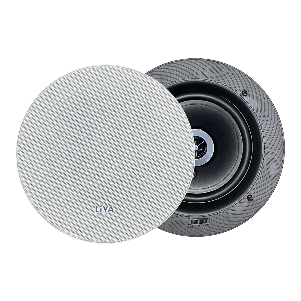 CT65 in ceiling speaker
