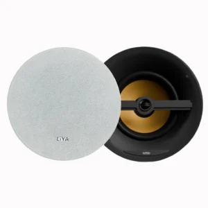 LiYA cs65 In ceiling speaker