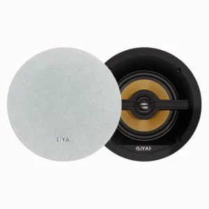 CS66 In-Ceiling Speaker