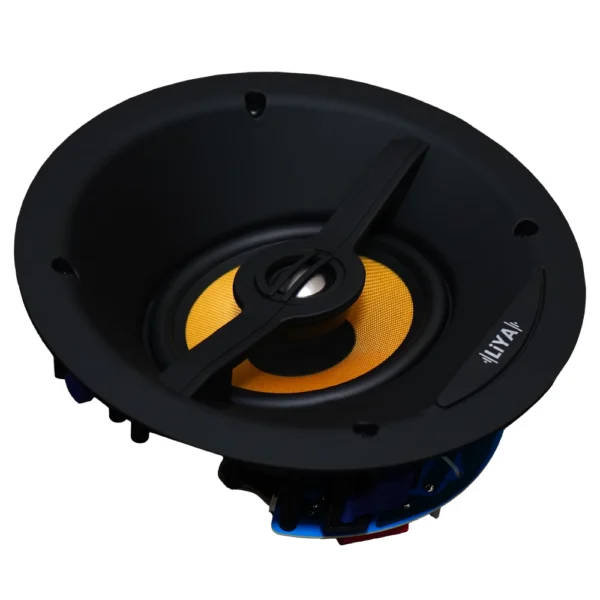 csa65 in-ceiling speaker