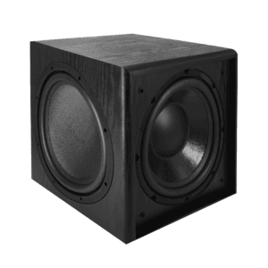 LiYA R-S12 12-Inch 450W Active Subwoofer – Powerful Bass for Home Audio & Home Theater